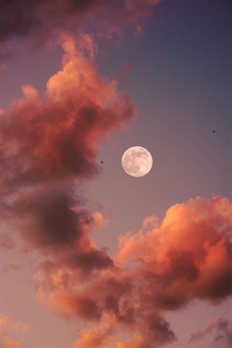 Moon | 100+ best free moon, night, dark and full moon photos on Unsplash