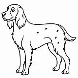 A coloring Page Of An English setter With No color Just Black Lines  sketch template