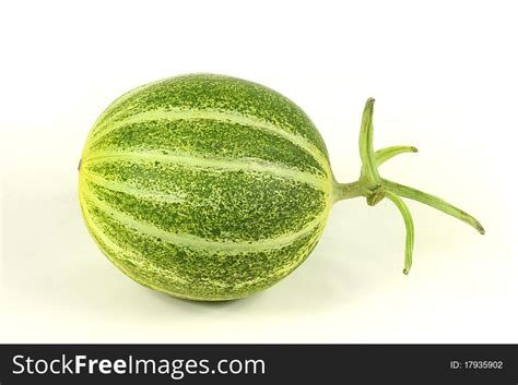 110+ Muskmelon Free Stock Photos - StockFreeImages