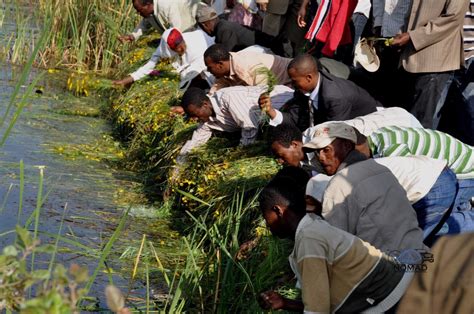 Festivals In Ethiopia