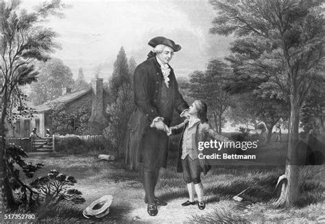 27 George Washington Cherry Tree Stock Photos, High-Res Pictures, and ...