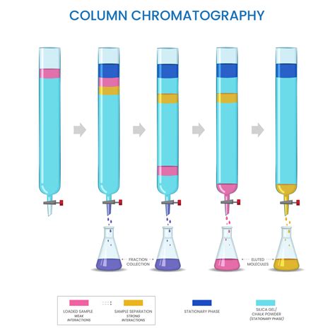 Column Chromatography, Separates components based on adsorption and elution in a column 26188706 ...