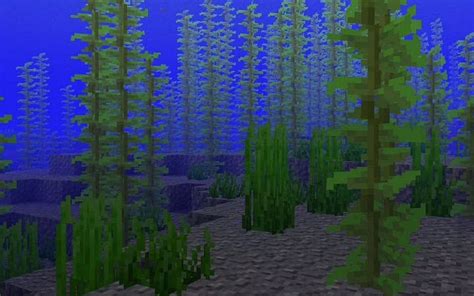 How to build a kelp farm in Minecraft