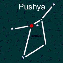 Pushya Nakshatra, Pushya Nakshatra Characteristics, Career, Padas, Remedy