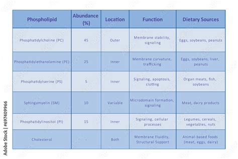 Table showing Phospholipids types, membrane abundance, location, function and dietary sources ...