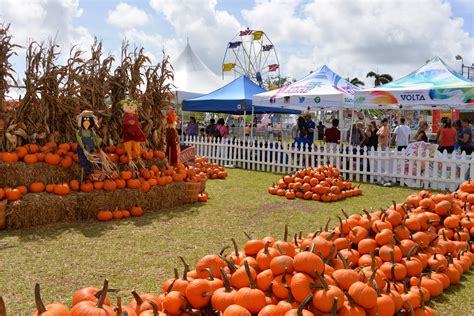 Coconut Grove Pumpkin Patch Festival