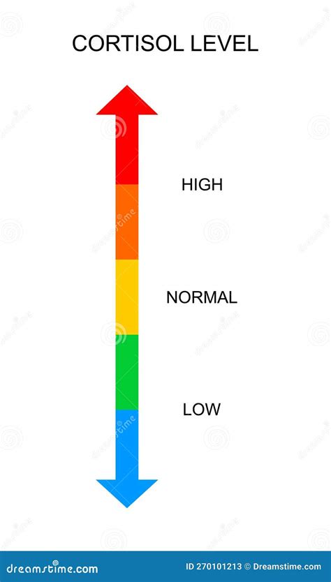 Cortisol Meter Vertical Scale. Body Stress Response Levels Chart From Low To High Isolated On ...