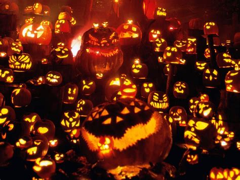 Halloween Pumpkin Screensavers wallpaper | 1280x960 | #26464