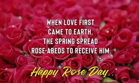 50+ Amazing Happy Rose Day Quotes for Friends 2024 - QuotesProject.Com