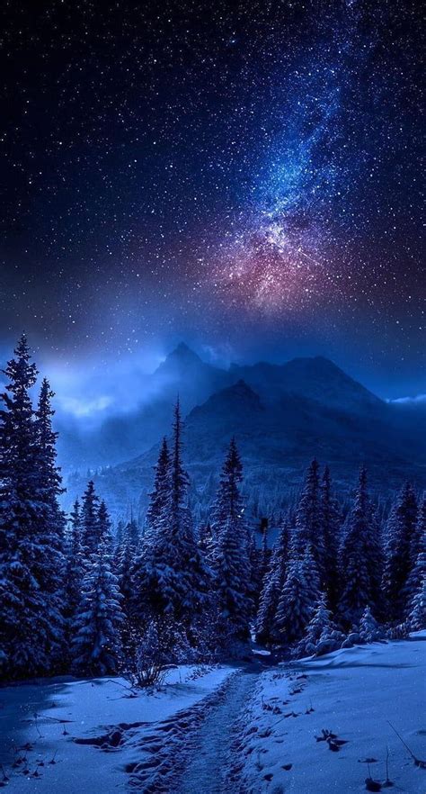 Forest Mountain Landscape Covered With Snow Star Filled Sky Galaxy In 2020. Night Sky , Night ...