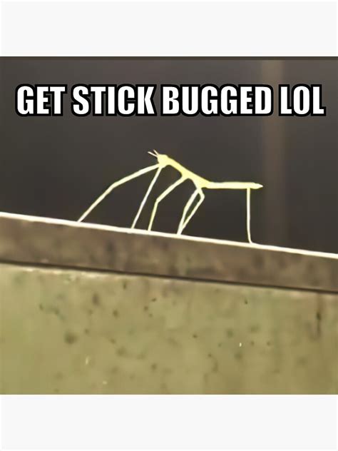 "get stick bugged lol" Metal Print for Sale by Goath | Redbubble