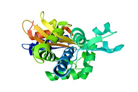 Crystal Structure of the KPC-2 Beta-lactamase in Complex with Hydrolyzed Cefotaxime. Rendering ...