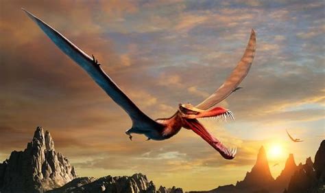 Flying reptiles: Claims 'flying dino' pterosaurs had feathers refuted in major challenge ...