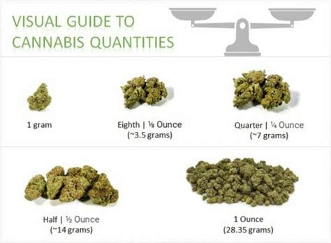 How Much is an Ounce of Weed? Measurement, Slang, Price, Legality