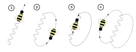 HMC Bee Lab: The Waggle Dance