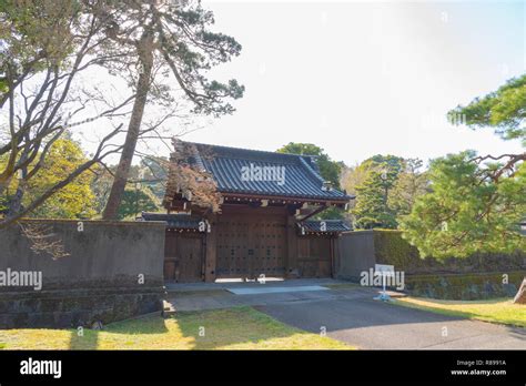 Cherry blossom in Tokyo Imperial Palace Stock Photo - Alamy