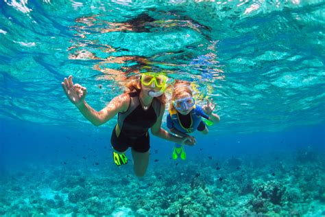 10 Best Snorkeling Spots Around Miami - American Oceans