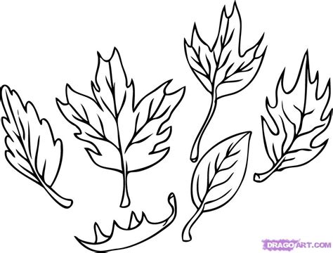 Pile Of Leaves Drawing | Free download on ClipArtMag