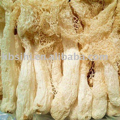 Wild Bamboo Fungus,China price supplier - 21food