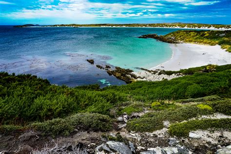 Falkland Islands | Olive Oil and Lemons | Dina Honke