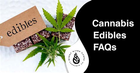 Cannabis Edibles FAQs | Frequently Asked Questions about Edibles