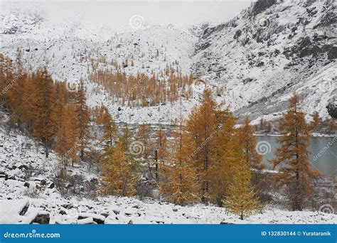 Altai mountains stock photo. Image of outdoors, cloudy - 132830144