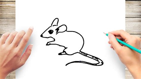 How to Draw Mouse - YouTube