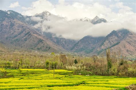 A Visual Journey Through Dachigam National Park