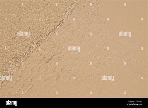 beach at Port Douglas, Far North Queensland, Australia Stock Photo - Alamy