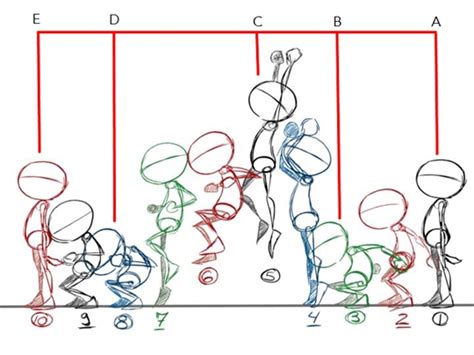 Straight Ahead and Pose-to-Pose Principle | Toon Boom Learn Portal