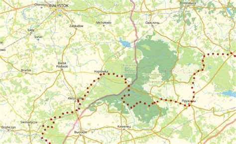 The Białowieża Forest: a giant from the past on EuroVelo 2 – Capitals Route - EuroVelo