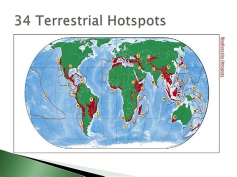 Hotspots of biodiversity