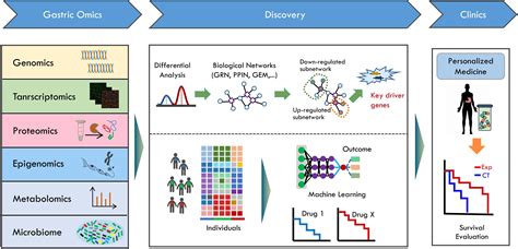 Frontiers | Systems Biology of Gastric Cancer: Perspectives on the ...