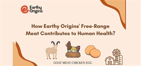 How Free Range Meat Contributes to Human Health? – Earthy Origins