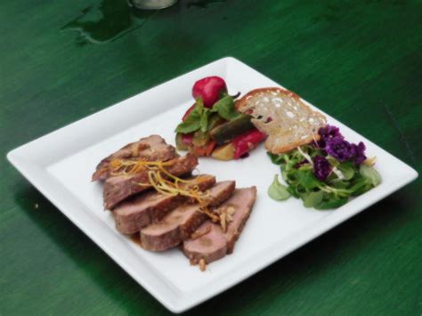 11+ Pressed Duck Recipe - MuratVendhan