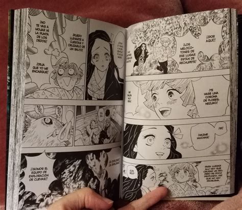 ZENNEZU IS CANON — I finally got my Kimetsu no Yaiba manga in...