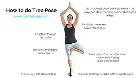 Tree Pose Yoga