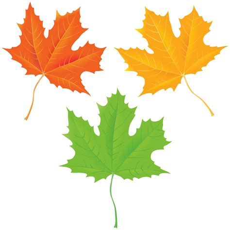 Autumn Leaves Clipart at GetDrawings | Free download