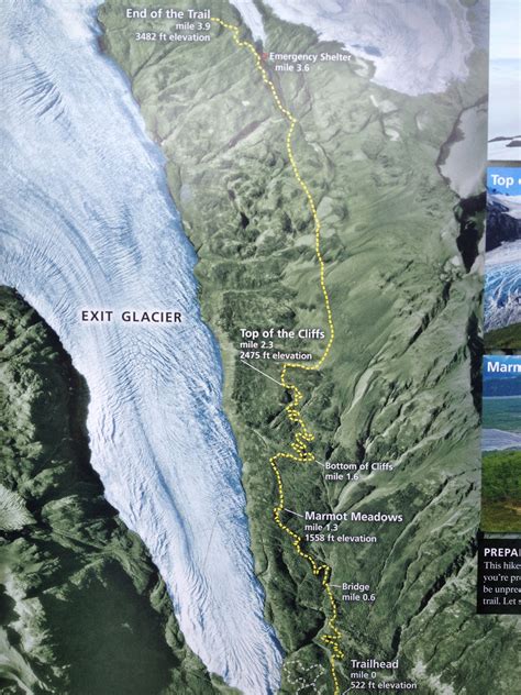 Exit Glacier has many trails that you can choose from! | Kenai fjords ...