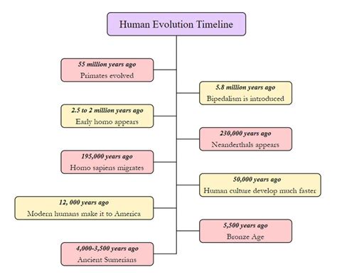 Human Evolution Timeline: From Primates to Modern Humans