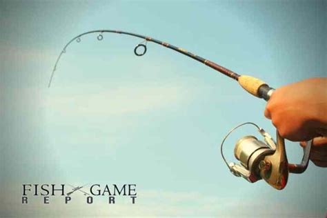 Ultimate Guide: Different Types of Fishing Poles - Fish and Game Report