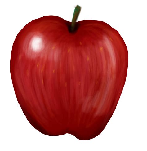 Realistic Apple Drawing | Free download on ClipArtMag