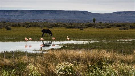 Santa Cruz - Patagonia on Behance