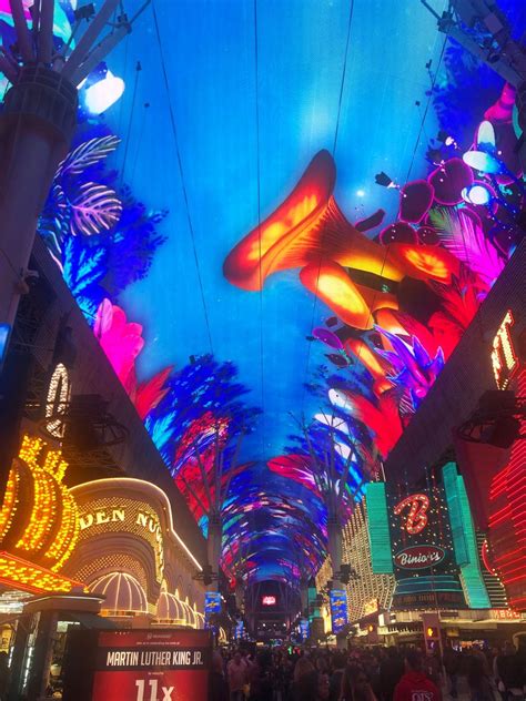 12 of The Best Las Vegas Attractions Off the Strip