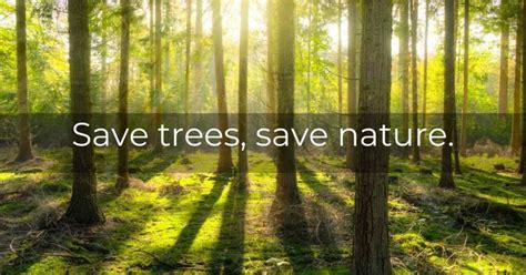 Save Trees Quotes and Captions | Don't Cut Trees Slogans