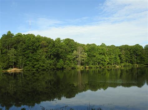 Reedy Creek Park and Nature Center - Home