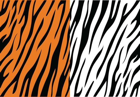 Tiger Stripe Pattern 183301 Vector Art at Vecteezy