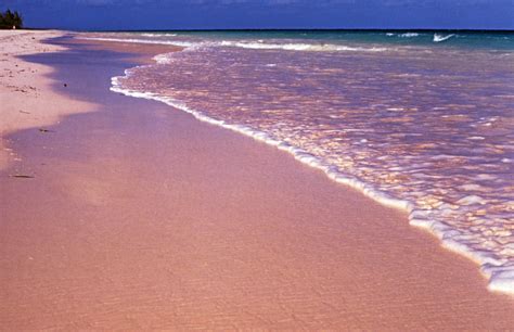 Beautiful Pink Sand Beaches - No Rose-Colored Glasses Needed - Travel Insider