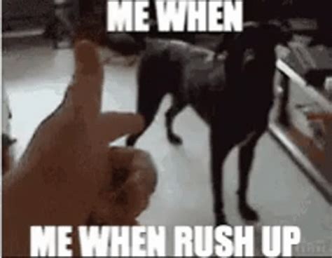 Dog Dead Dog GIF - Dog Dead Dog Rushdown - Discover & Share GIFs