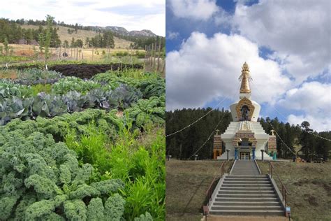 Gardener at Shambhala Mountain Center in Colorado | Beginning Farmers